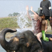 Volunteering in Nepal with Elephant